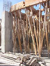 Forest of pilings hold beams aloft